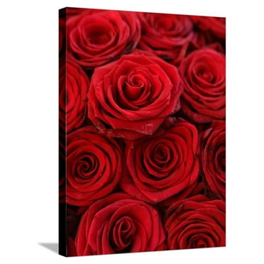12"x20"Red Rose Happy Day Home Decor Picture HD Canvas prints Wall art Painting 12"x20"Red Rose Happy Day Home Decor Picture HD Canvas prints Wall art Painting